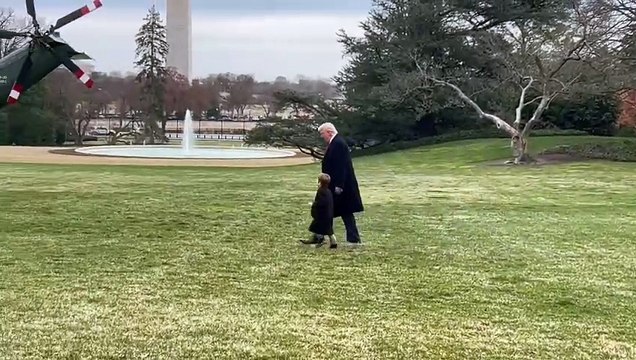 “Uma imagem feliz”. Vídeo de Trump e filho de Musk de mãos dadas torna-se viral