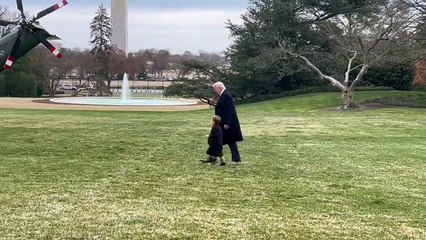 “Uma imagem feliz”. Vídeo de Trump e filho de Musk de mãos dadas torna-se viral