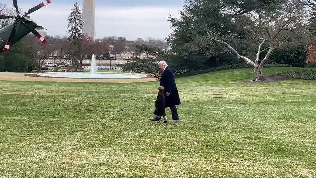“Uma imagem feliz”. Vídeo de Trump e filho de Musk de mãos dadas torna-se viral