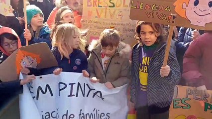 Manifestació en favor de la Bressola a Perpinyà