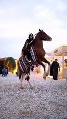 # Horse Rider girl # how to grow Daily motion? | Stop These Mistake |