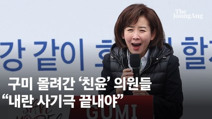 구미·세종서도 탄핵 반대 집회…시·도지사, 국회의원 대거 참여
