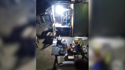 Onça-pintada surpreende ao ser flagrada em barraco de chácara em Rio Branco do Sul