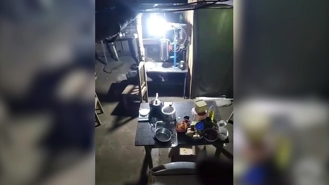 Onça-pintada surpreende ao ser flagrada em barraco de chácara em Rio Branco do Sul