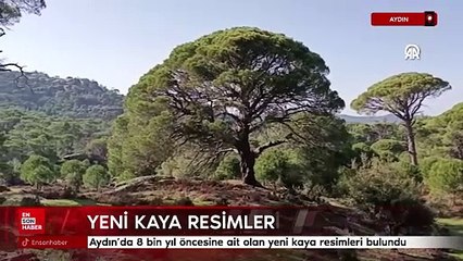 Aydın'da 8 bin yıl öncesine ait olduğu değerlendirilen yeni kaya resimleri bulundu