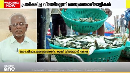 കേരളാ തീരത്തെ മത്തിയുടെ വലുപ്പകുറവിന് കാരണമെന്ത് ? ഡോ. പി എം അബൂബക്കര്‍ സംസാരിക്കുന്നു