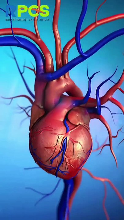 High BP? Control it Naturally! 💙