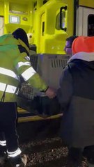 Alluvione in Toscana, i volontari della Lav salvano 40 animali