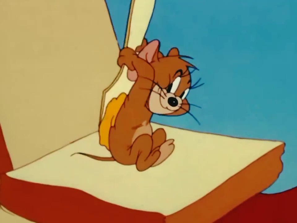 TOM and JERRY 💥 EGALE VS TOM🙆😂😂