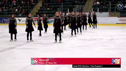 ADULT I FREE - 2025 Newfoundland & Labrador Provincial Championships -