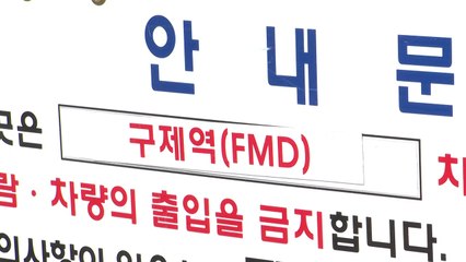 전남 영암 농장 세 곳 구제역 추가 발생...네 곳으로 늘어 / YTN