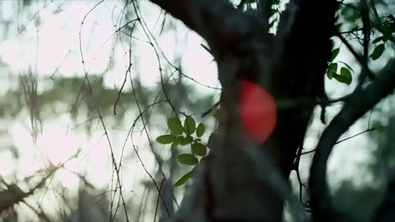 Xibalba _ Full Sci-Fi Action Movie _ Full Free Movie _ Curse Of The Mayans