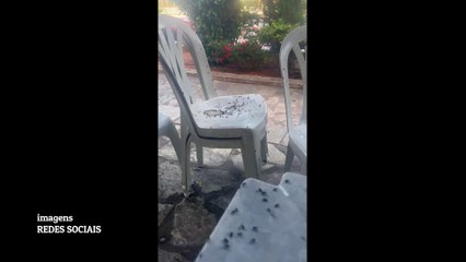 Excesso de esterco de galinhas atrai praga de moscas em Princesa Isabel-PB