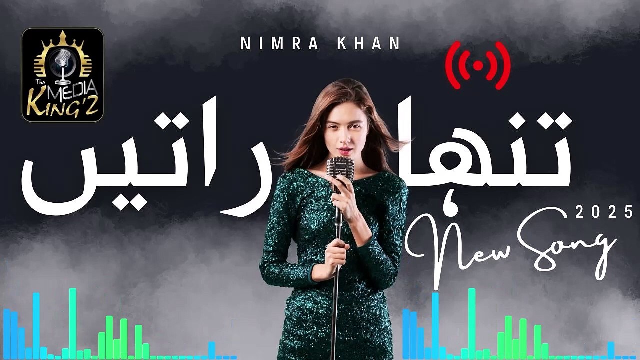 Rataan Nu Gin Gin Taare || Heartbreaking Punjabi Sad Song 2025 || Mian Naeeb Ahmed | The Media Kingz