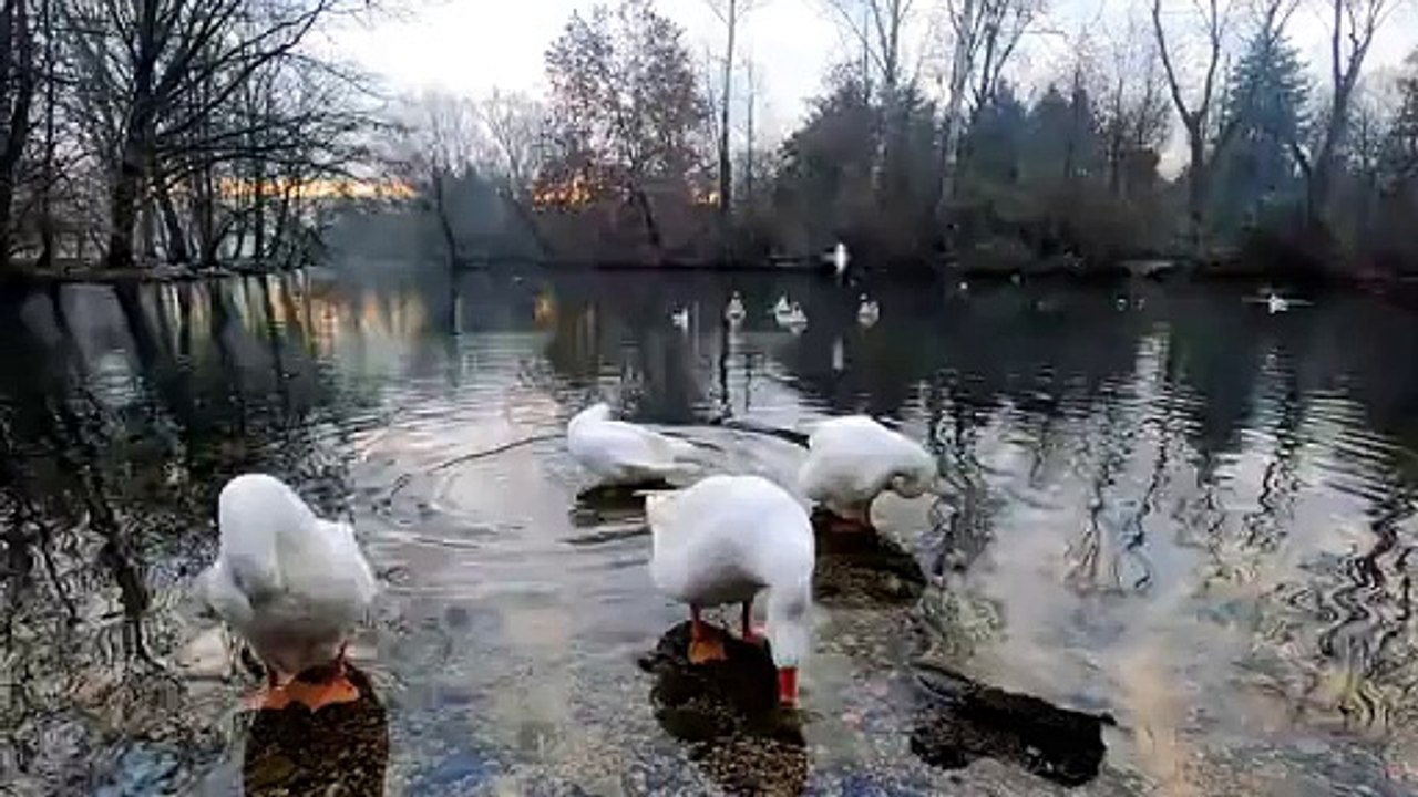 Beauty to Behold