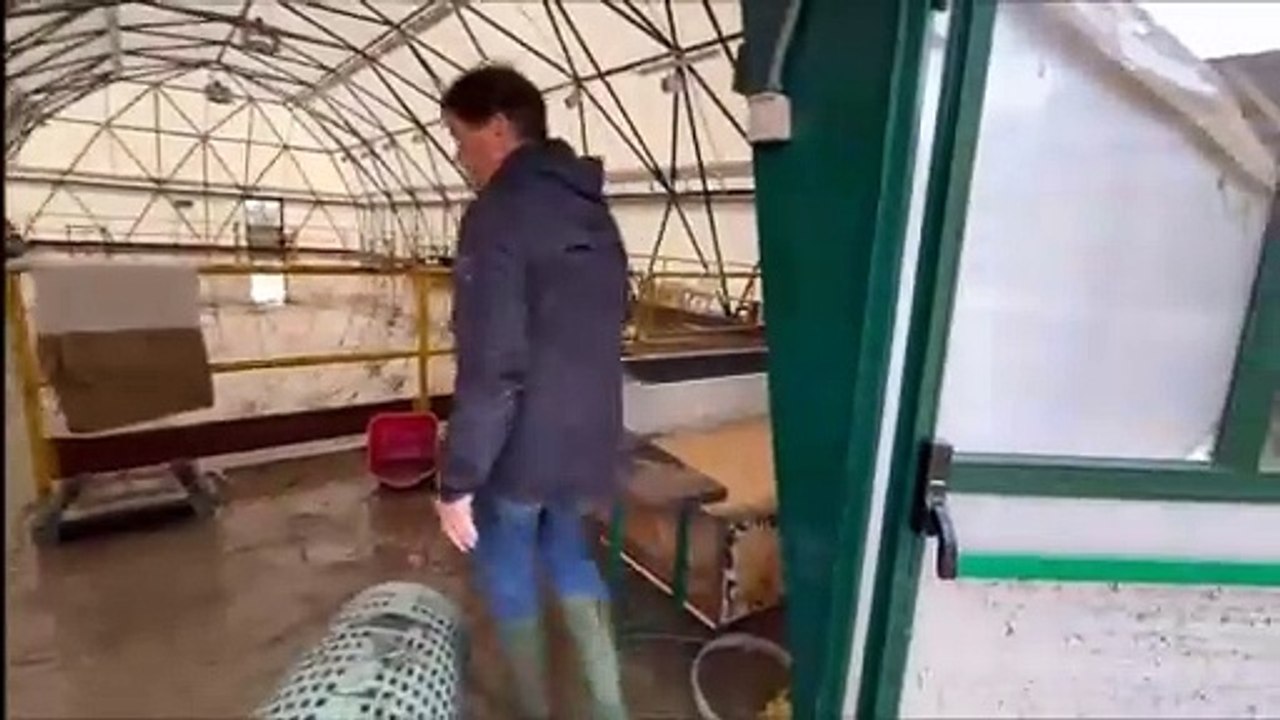 Valdisieve, gli impianti sportivi di Montebonello devastati: danni per un milione di euro