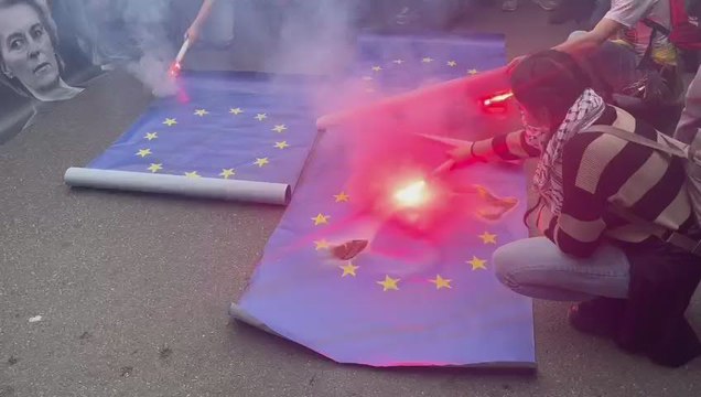 Roma, bruciate bandiere Ue al corteo di Potere al popolo - Video