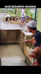 mancing saat hujan hasilnya di luar dugaan
