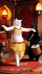 Entatanment Vedio Channel for kids Enjoy .