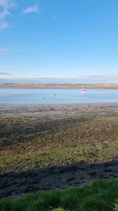 Malahide #4