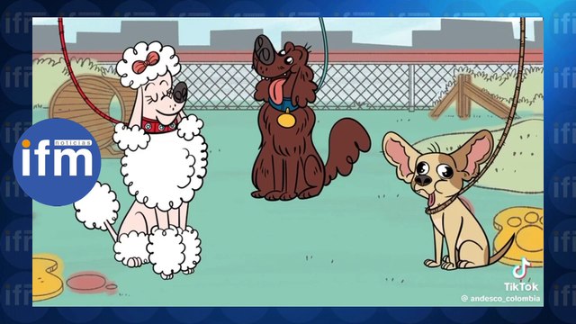 No pago de subsidios de energía y gas por parte del gobierno aumenta el fantasma de apagón. Así funciona los subsidios