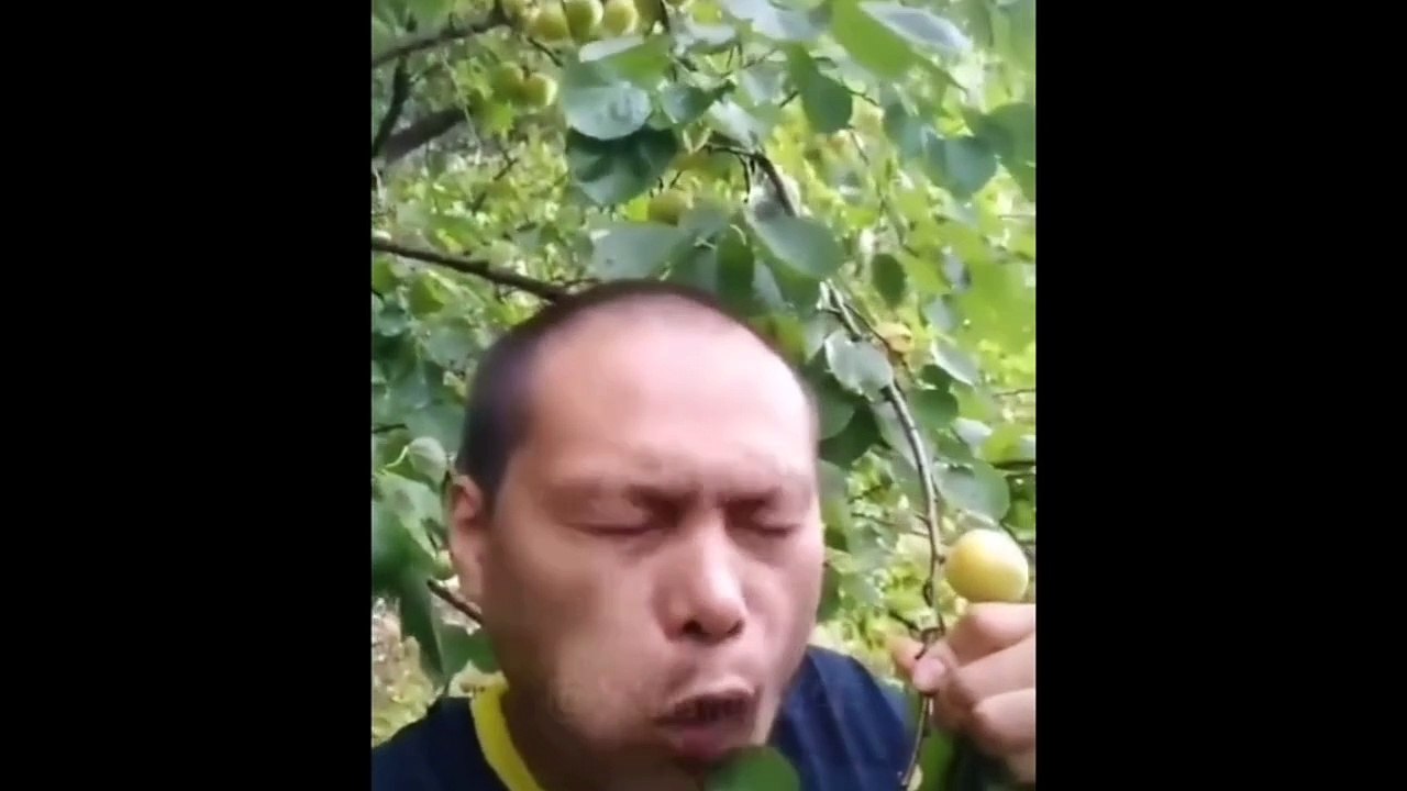 Hilarious Live Stream Fails You Can’t Miss