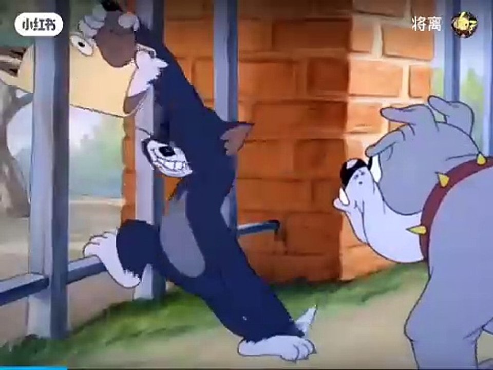 Tom and Jerry