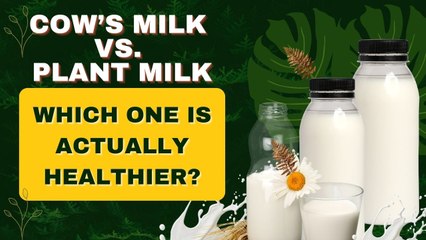 Cow’s Milk vs. Plant Milk—The Healthiest Choice Revealed!