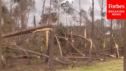 Footage Shows Severe Damage In Grenada County, Missouri In The Aftermath Of A Tornado