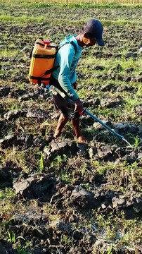 From Plowing to Planting: Growing Corn Step by Step - Part 4