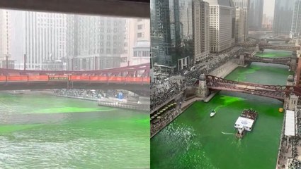 Chicago River dyed green for St Patrick’s Day parade as celebrations begin