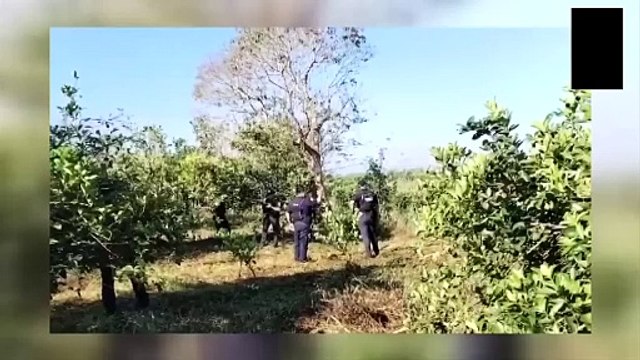 Semana violenta en Colima; suman cinco mujeres asesinadas