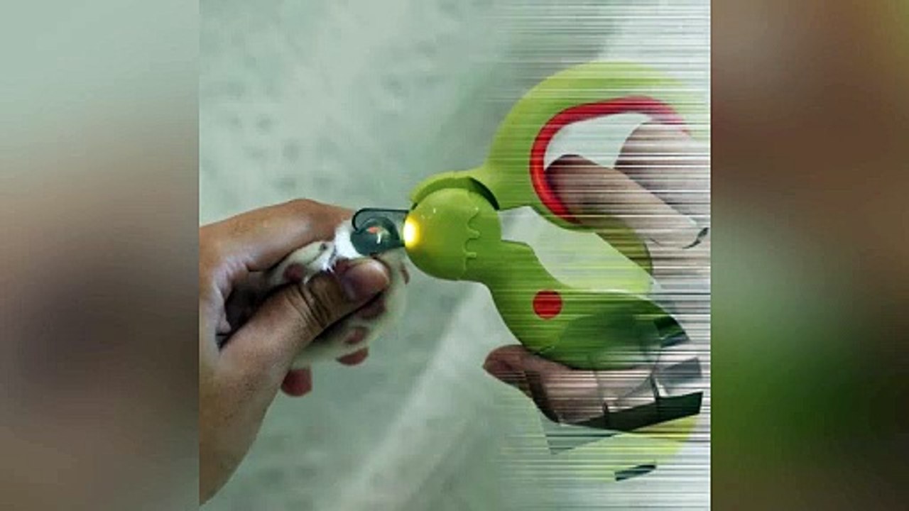 Nail_Clippers_For_Cats_V1