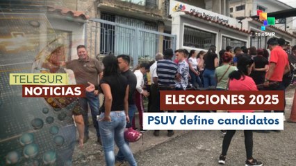 Militantes eligen a sus representantes para cargos legislativos