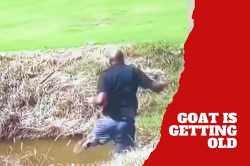 Michael Jordan's age showing? Viral video captures hilarious fall