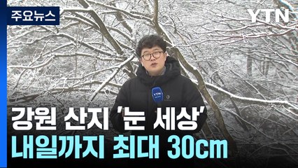강원 산지 눈 세상...산불 걱정 덜었지만, 폭설 피해 우려 / YTN