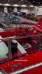 Old but most beautiful car collection