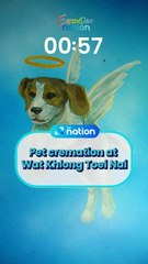 Pet cremation at Wat Khlong Toei Nai