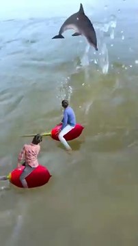 Amazing creative videography ideas 💡 with mobile #new #viral #fun #shorts