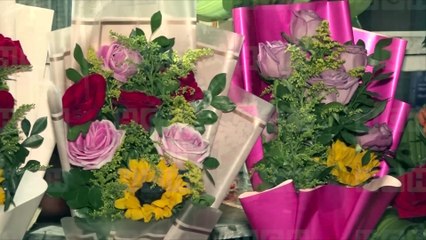 Móvil de Emergencia SPS