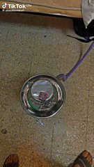 be1cf0cd85ce4a590b25b7e35bde0b4f_1738510090734