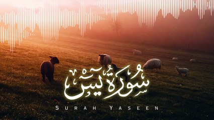 Most beautiful recitation of Surah Yaseen (Yasin) سورة يس