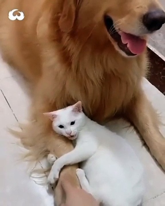 A lifetime of snuggle solidarity