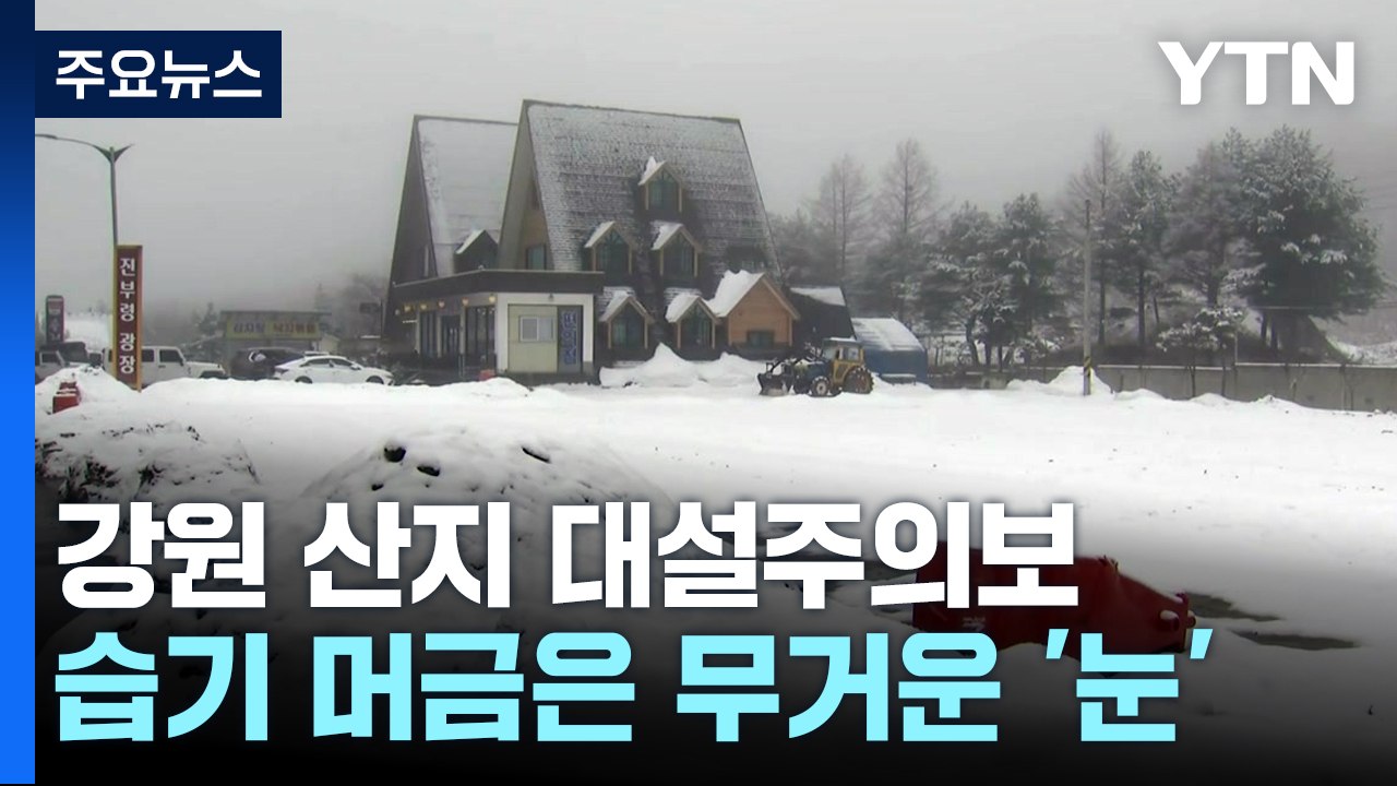 3월 중순에 눈 '펑펑' ...산불 걱정 덜었지만, 폭설 피해 우려 / YTN