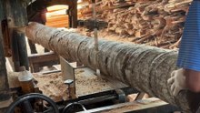 Safe Tips for Sawing a 5x7 Coconut Tree with a Sawmill Machine