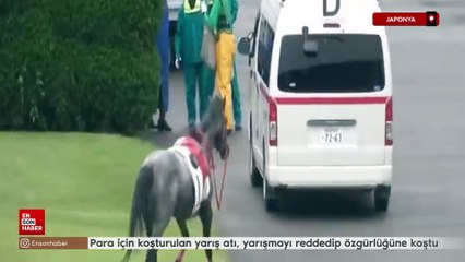 Japonya'da para için koşturulan yarış atı, yarışmayı reddedip özgürlüğüne koştu