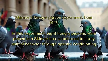 "Unraveling Superstition: Pigeons and Politics"