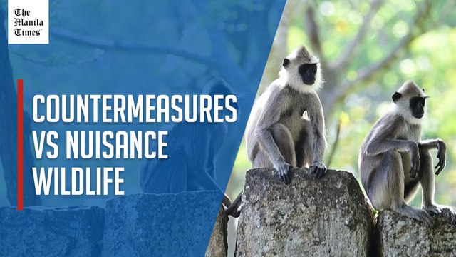 Sri Lanka counts nuisance wildlife in bid to protect crops