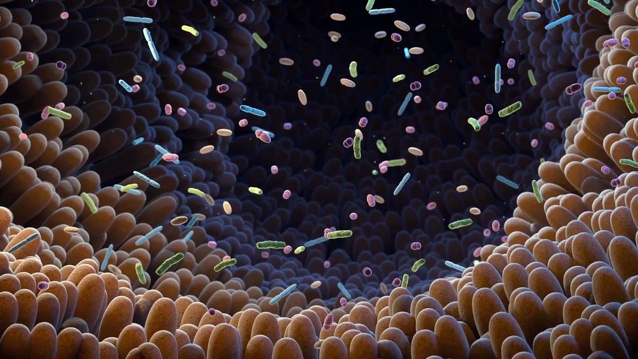 Did You Know? Your Body Contains More Bacteria Than Human Cells
