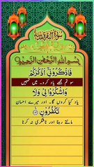 #islamicstatus #reels #foryou  #viralvideo #viral